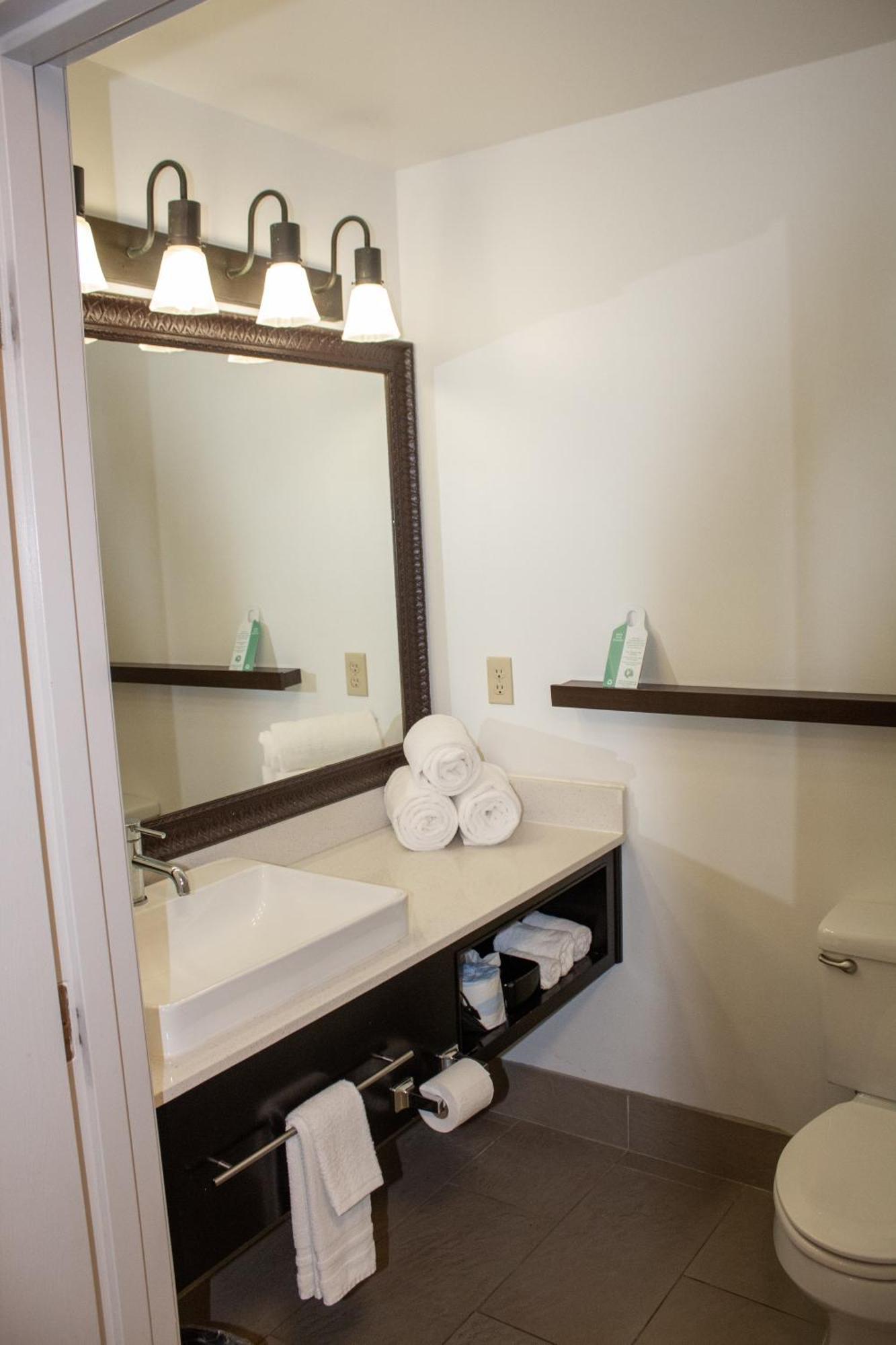 Country Inn & Suites By Radisson, Big Rapids, Mi מראה חיצוני תמונה
